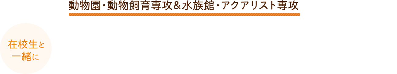 動物園・動物飼育専攻＆水族館・アクアリスト専攻 在校生と一緒にエコの飼育当番なりきり体験！100種類の動物がいる北海道エコだから出来る！！