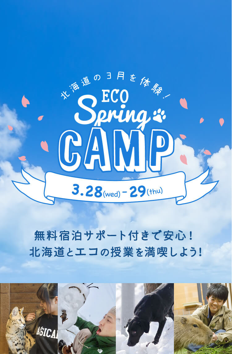 北海道の3月を体験！ ECO SPRING CAMP 3.28(wed)-29(thu)