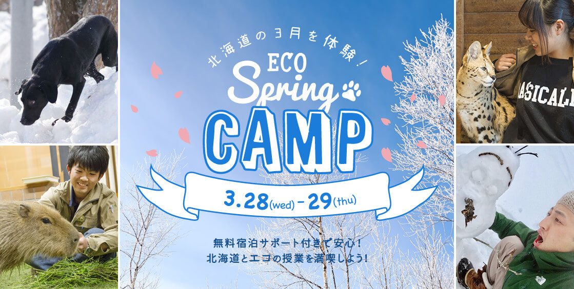 北海道の3月を体験！ ECO SPRING CAMP 3.28(wed)-29(thu)