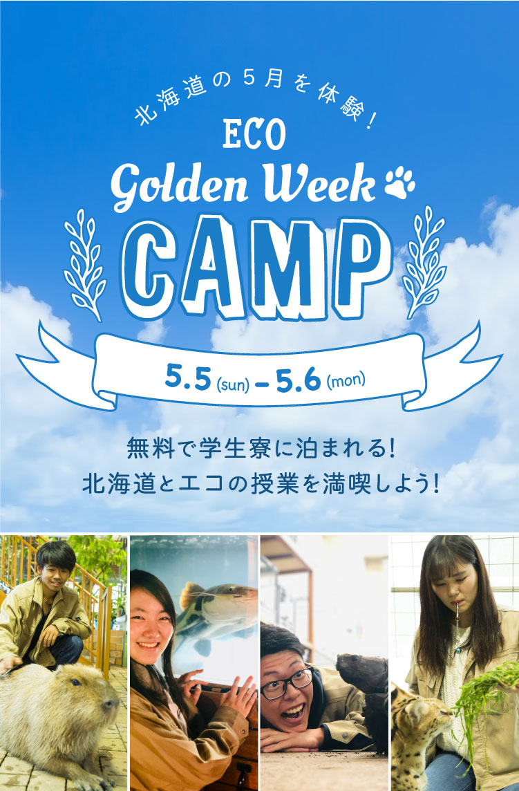 北海道の5月を体験！ ECO GW CAMP 5.5(sun)-5.6(mon)