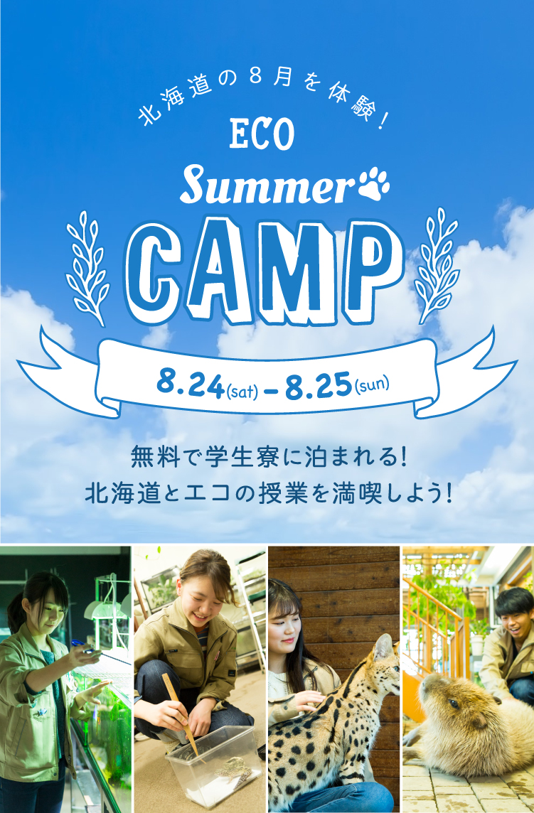 北海道の8月を体験！ ECO SUMMER CAMP 8.24(sat)-8.25(sun)