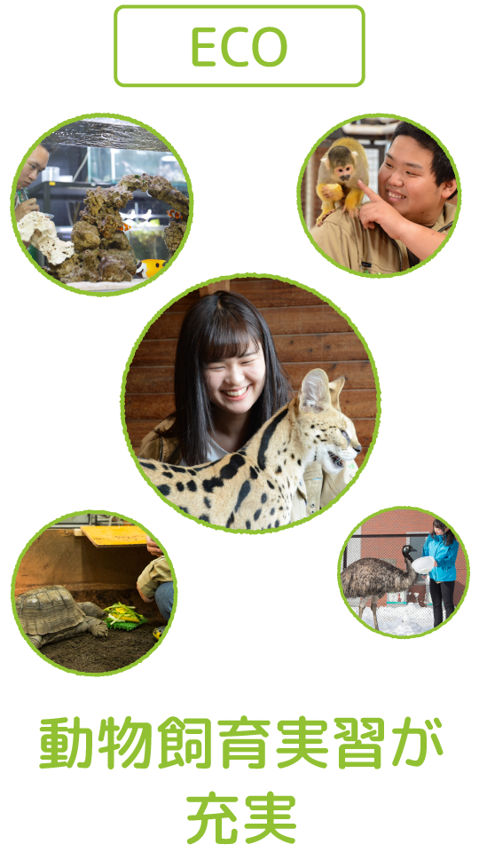 動物たちと触れ合う仕事につくなら北海道エコへ 大学進学でお悩みの方