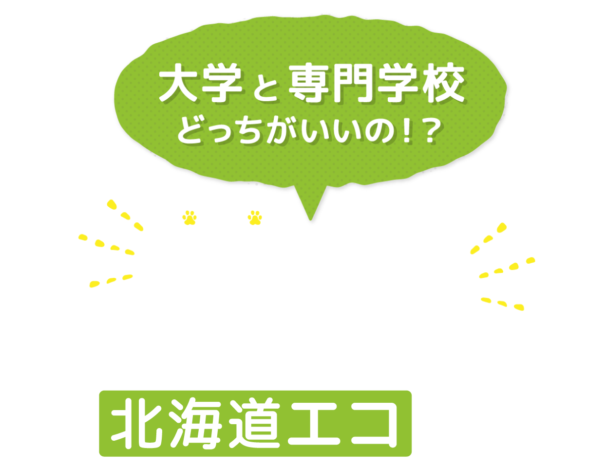 大学進学でお悩みの方へ動物たちとふれあう仕事につくなら北海道エコへ！