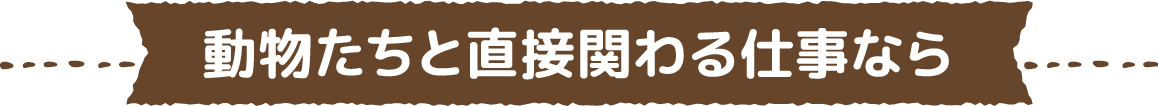 動物たちと直接関わる仕事なら