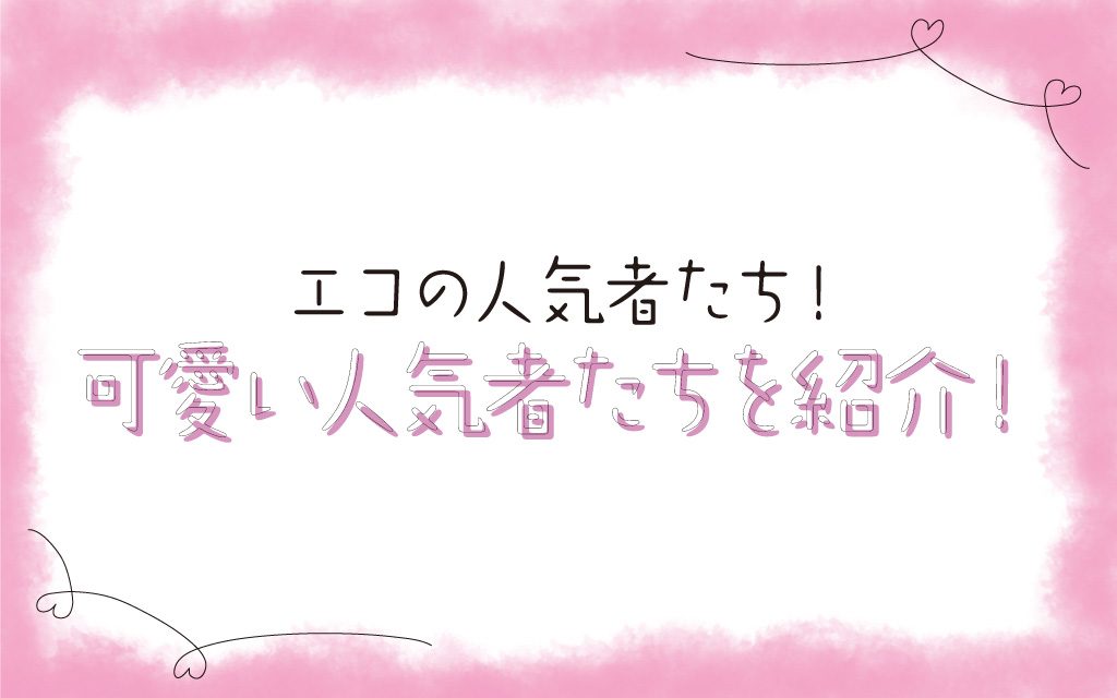 エコの人気者たち！ 可愛い人気者たちを紹介！