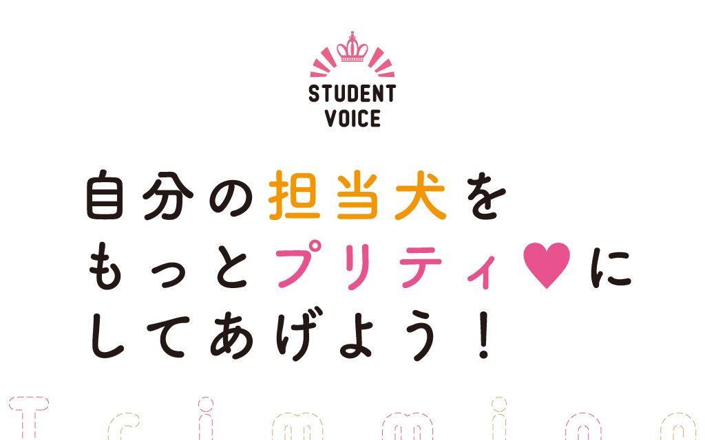 自分の担当犬をもっとプリティにしてあげよう！