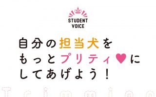 自分の担当犬をもっとプリティにしてあげよう！