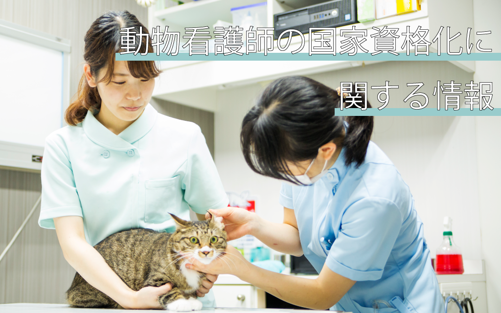 21年度版 動物看護師の国家資格化に関する情報 お知らせ 北海道エコ 動物自然専門学校