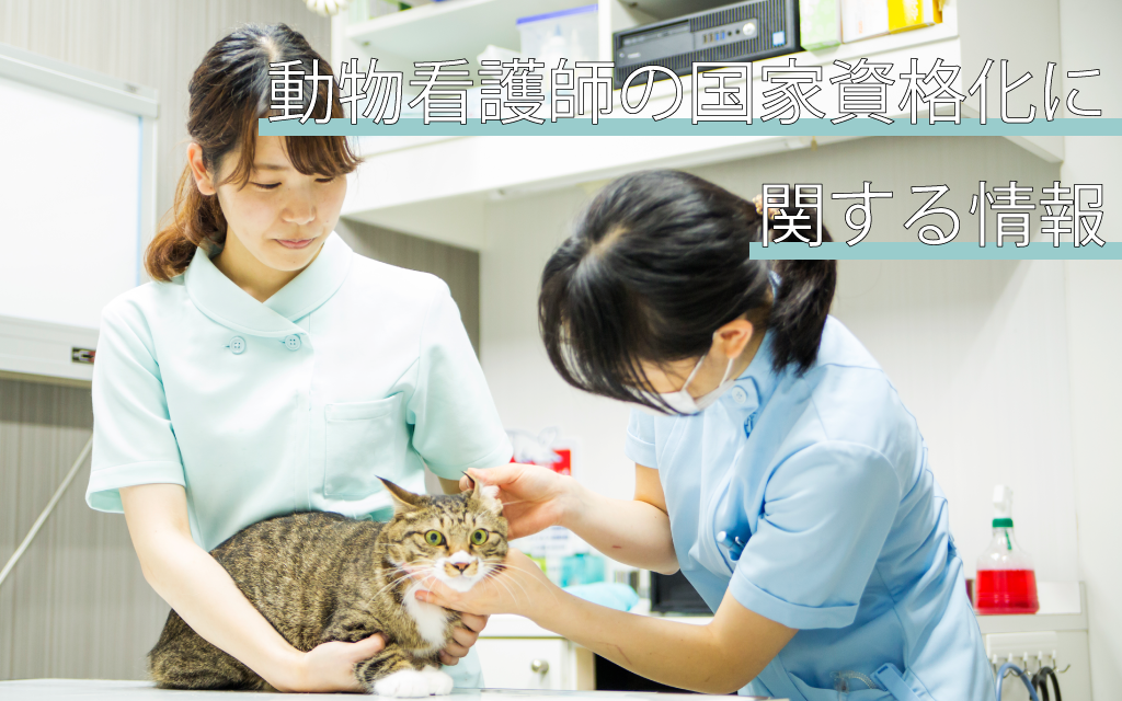 【2021年度版】動物看護師の国家資格化に関する情報｜お知らせ｜北海道エコ・動物自然専門学校