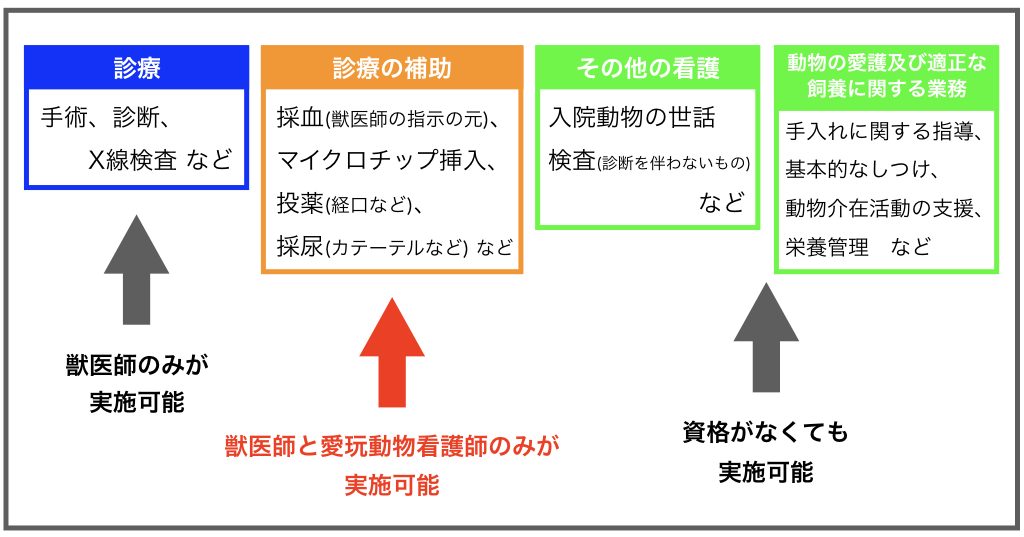 【2021年度版】動物看護師の国家資格化に関する情報｜お知らせ｜北海道エコ・動物自然専門学校