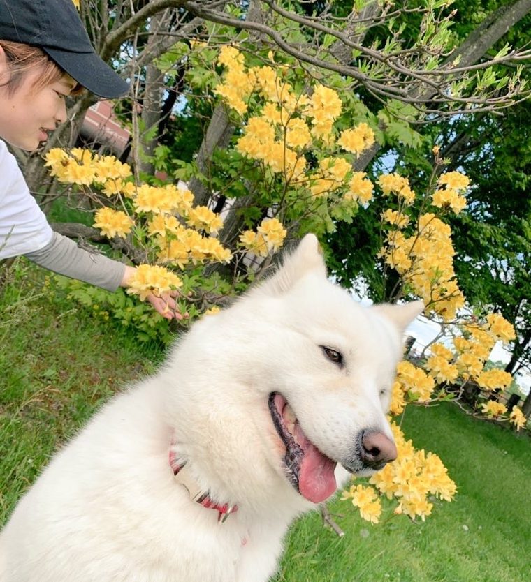 北海道エコ・動物自然専門学校