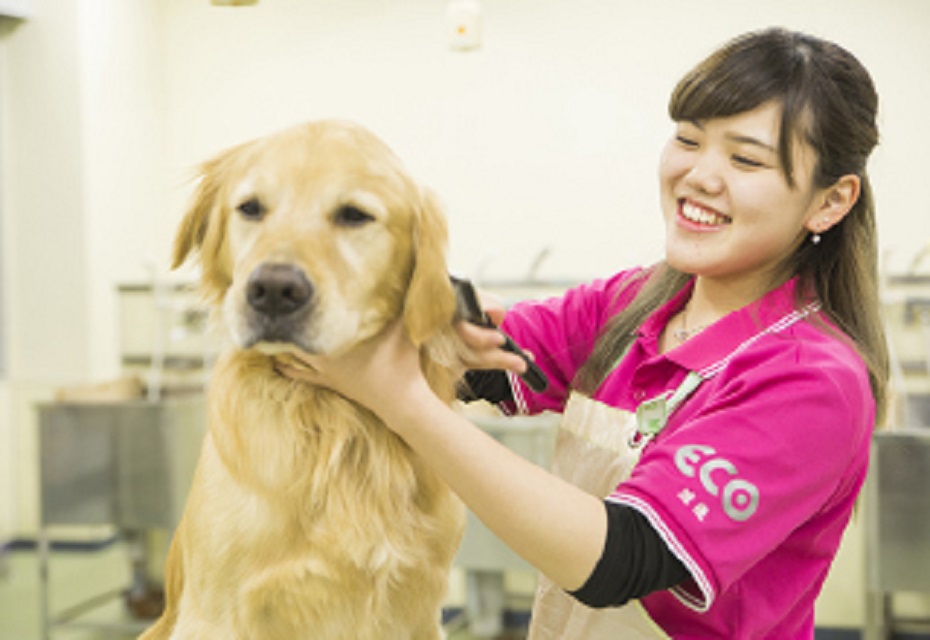 体験授業 オープンキャンパス 北海道エコ 動物自然専門学校