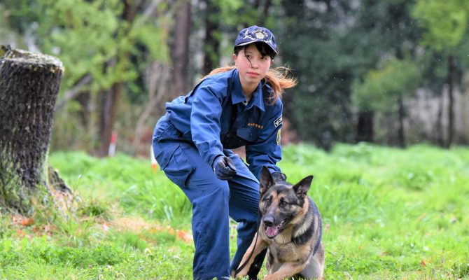【2023最新】警察犬訓練士のなりかたや仕事内容・資格についてご紹介！