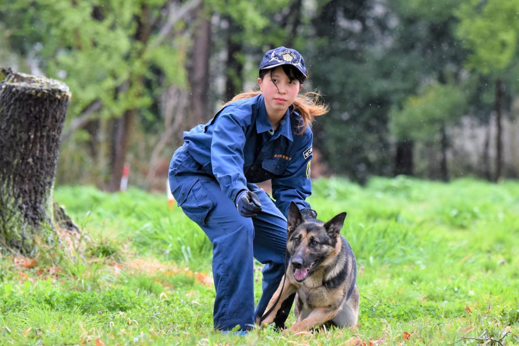 警察 犬 訓練 士 なるには