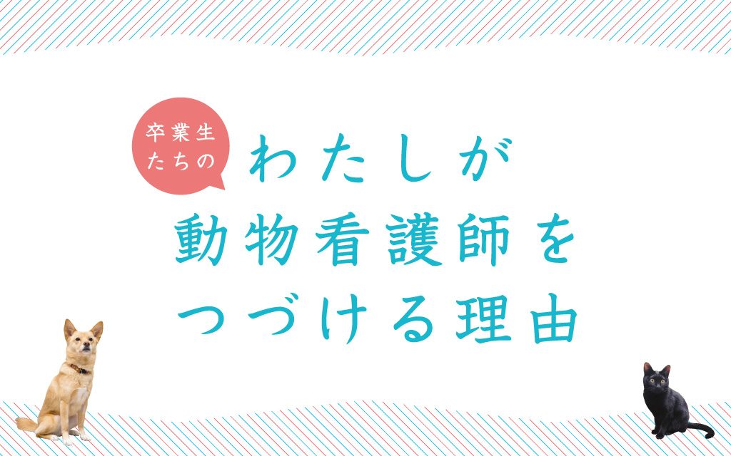 卒業生たちのわたしが動物看護師をつづける理由