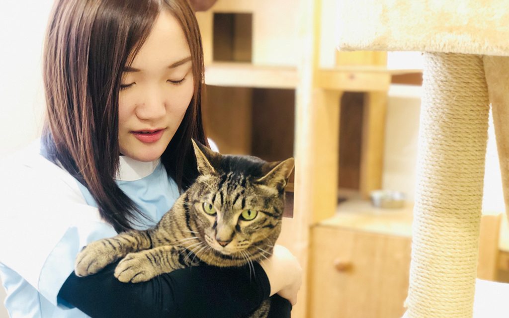 動物看護師を目指す私が学んだこと。【①入院・外科練習】