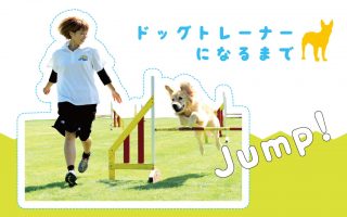 ドッグトレーナーになるまで