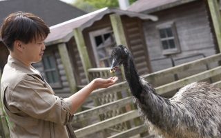 公式 動物の専門学校 北海道エコ 動物自然専門学校