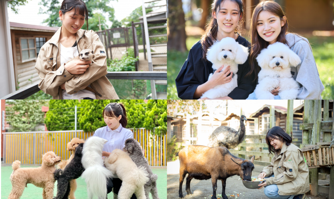 【5/20(土)Special Open Campus!】担当犬体験！＆動物飼育体験！
