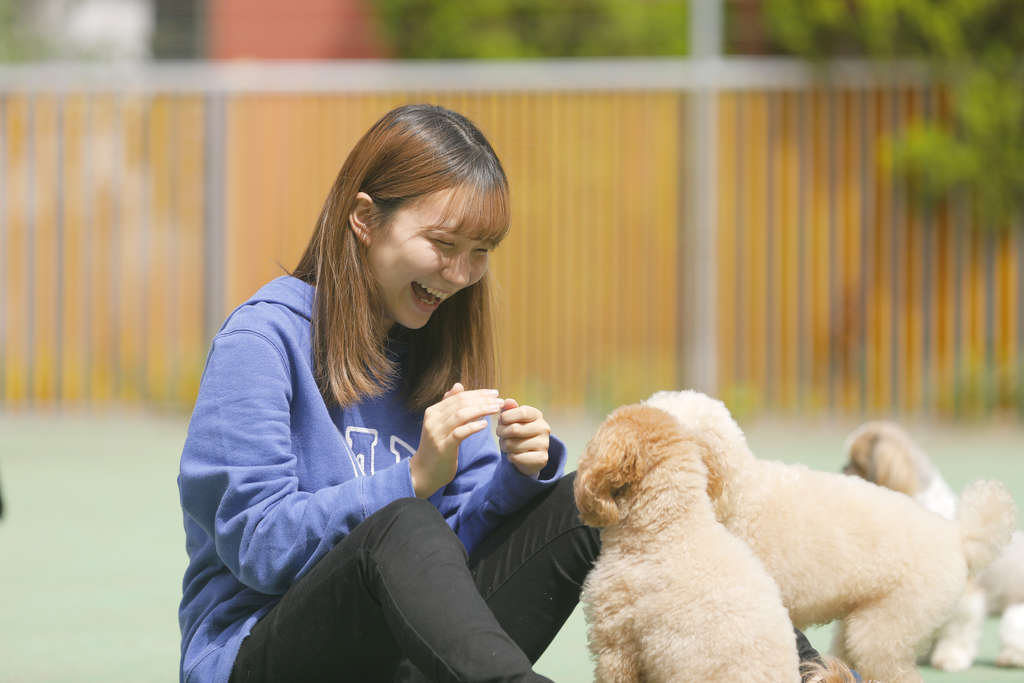 犬との触れ合い