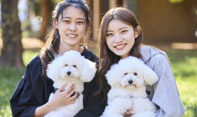 【在校生･卒業生のみなさまへ】譲渡予定犬について2023