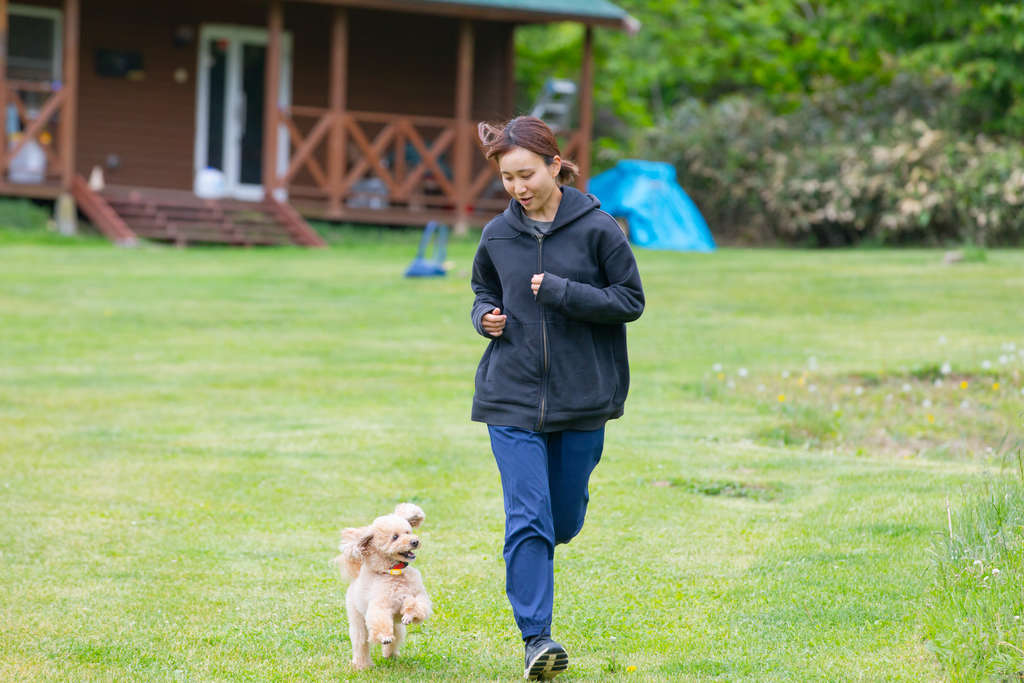 災害救助犬に関わるには?