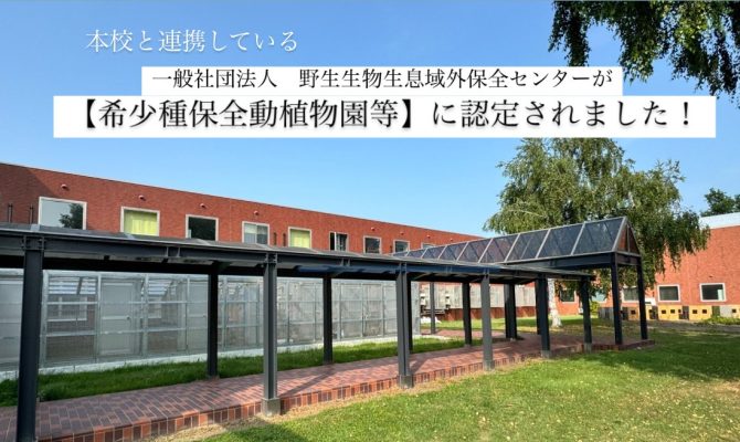 NEWS　本校と連携している一般社団法人　野生生物生息域外保全センターが【希少種保全動植物園等】に認定されました！