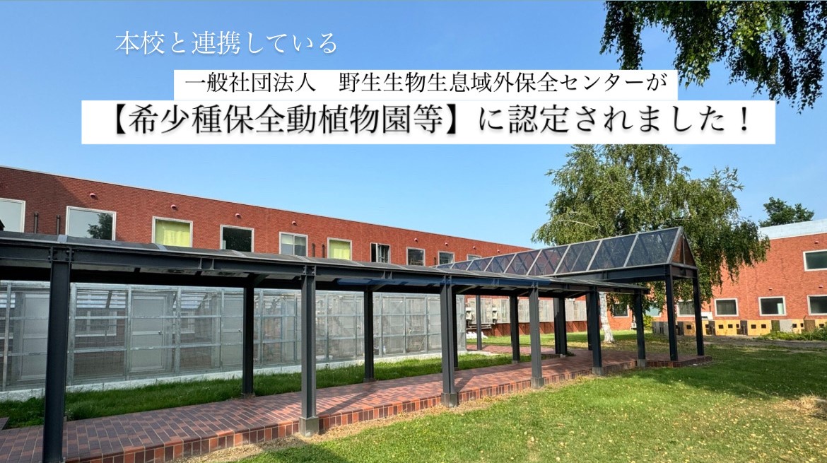 日本野生植物館 生育環境別　その他 日本野生植物館 生育環境別 その他