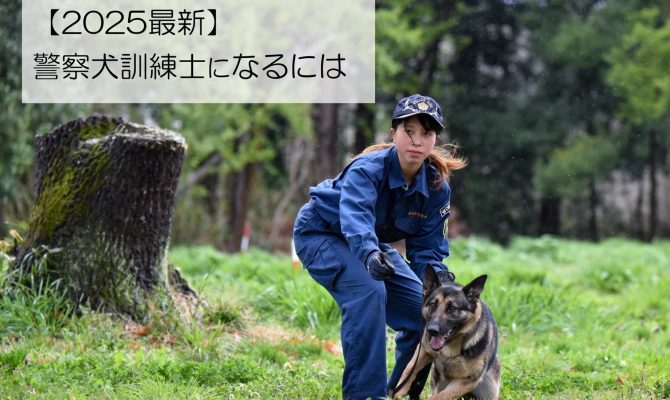 【2025最新】警察犬訓練士のなりかたや仕事内容・資格についてご紹介！