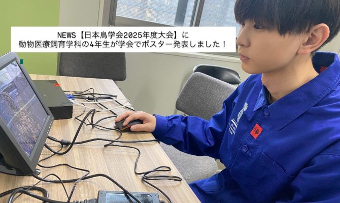 NEWS【日本鳥学会2025年度大会】に動物医療飼育学科の4年生が学会でポスター発表をしました！
