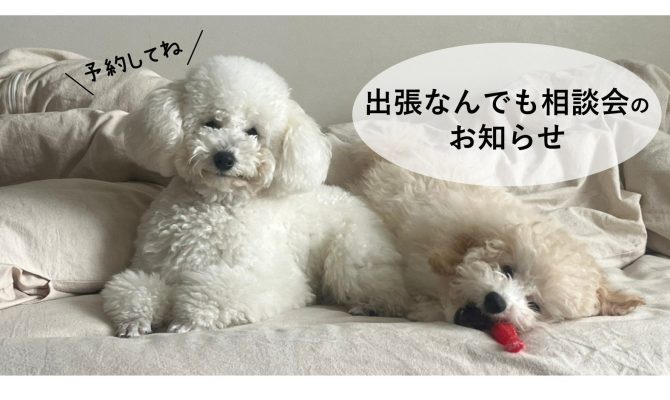 【全道】2026年2月出張なんでも相談会開催！！