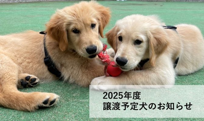 【在校生･卒業生のみなさまへ】譲渡予定犬について2025