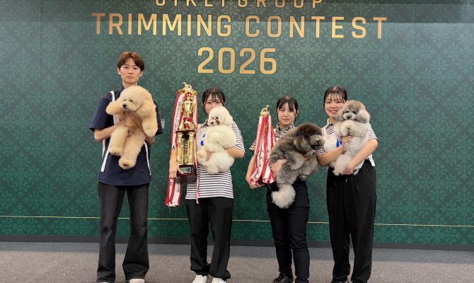 滋慶学園グループトリミングコンテスト全国大会2026入賞!!