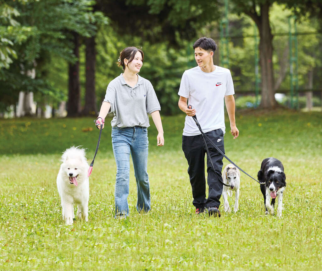 ファシリティドッグとは？育成に関わることはできる？気になるギモンを詳しく解説します！