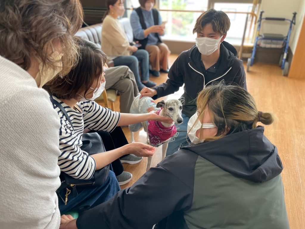 セラピードッグとは？育成に関わることはできる？気になる疑問を詳しく解説します！