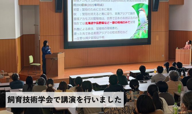保護中: 【NEWS】本校学生が飼育技術学会で講演を行いました