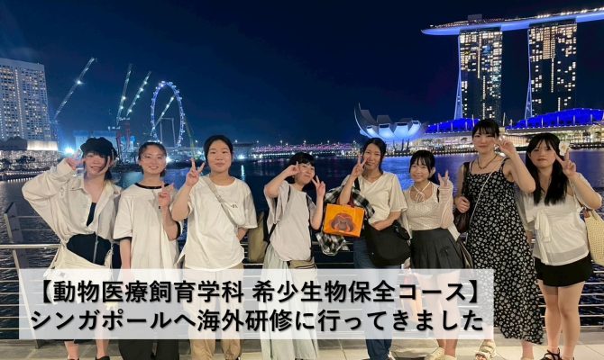 保護中: 【NEWS】シンガポールへ海外研修に行ってきました！