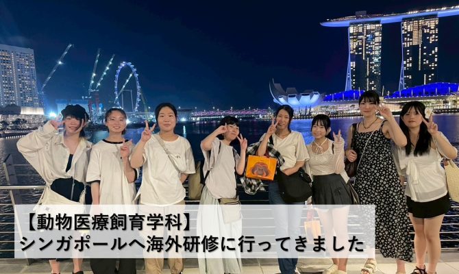 【NEWS】シンガポールへ海外研修に行ってきました!