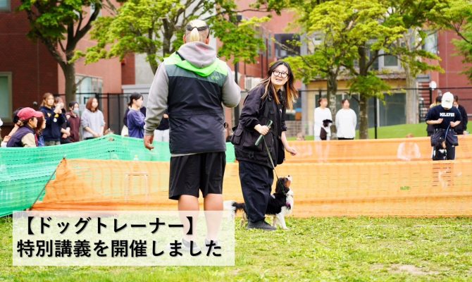 保護中: 【ドッグトレーナー】特別講義開催!現場で活きる技術を学ぶ2日間