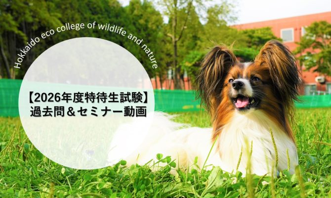 保護中: 【2026年度エントリー者対象】筆記特待生試験過去問&講義動画