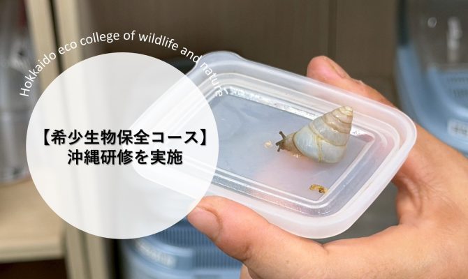 保護中: 【希少生物保全コース】沖縄研修を実施!希少生物保全の最前線で学ぶ3日間