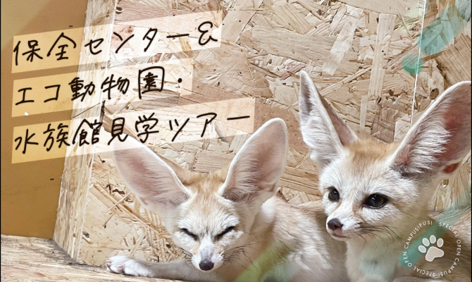 【12/19(土)】保全センター & エコ動物園・水族館ツアー!