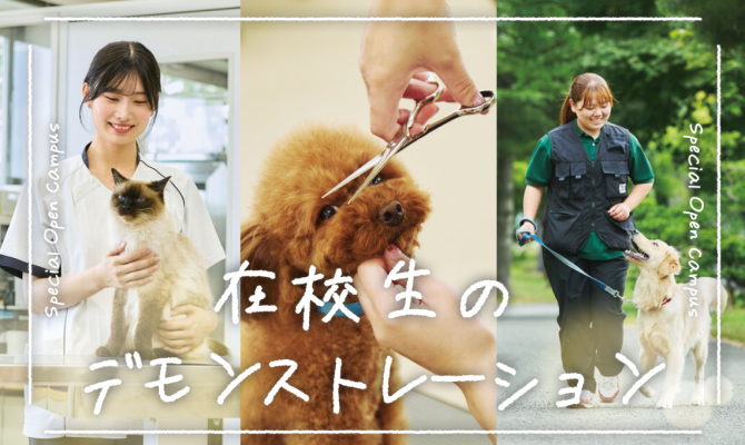 【7/18(土)】初めて参加の方限定!在校生のデモンストレーション★
