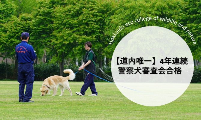 保護中: 【NEWS】北海道警察主催「嘱託警察犬審査会」で学生が快挙【ドッグトレーナー】