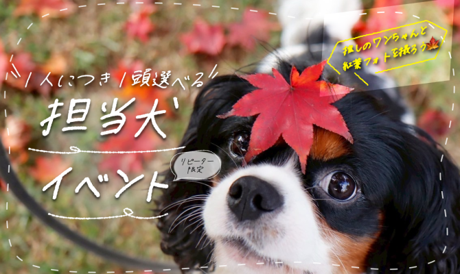 10/17(土)【2回目以降の方限定】1人につき1頭、好きな犬を選んで担当犬制度を体験★