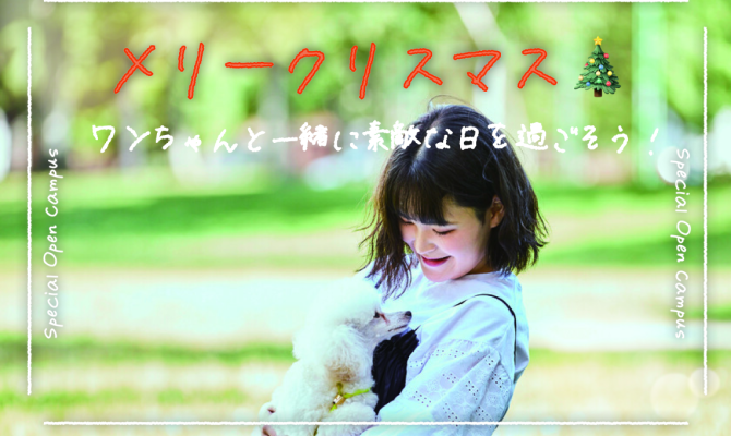 【12/19(土)】メリークリスマス★ワンちゃんと一緒に素敵な日を過ごそう!