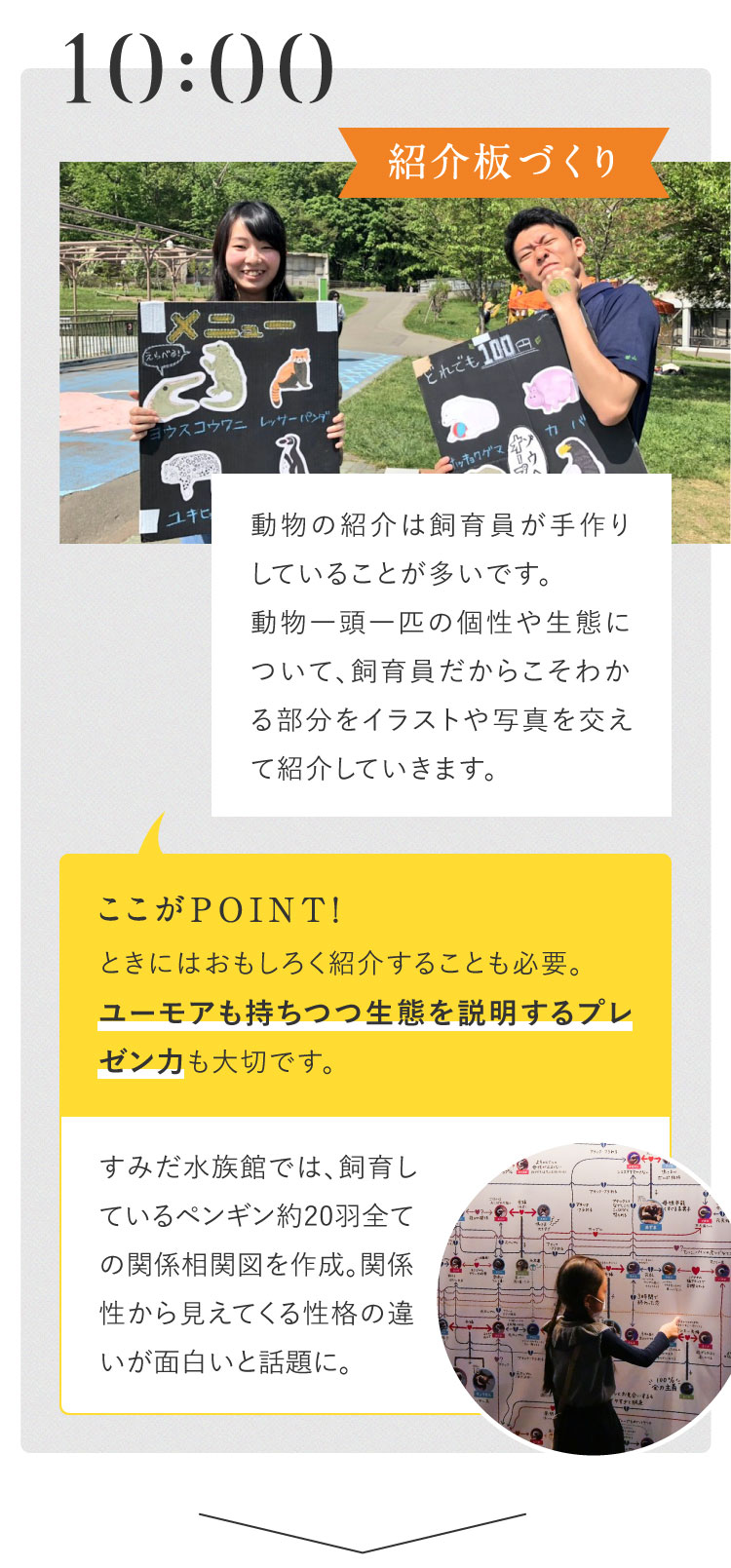 10:00 紹介板づくり 動物の紹介は飼育員が手作りしていることが多いです。