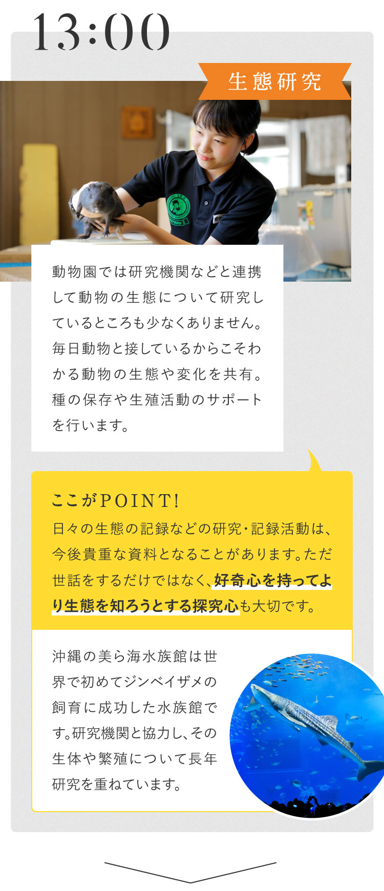 13:00 生態研究 動物園では研究機関などと連携して動物の生態について研究しているところも少なくありません。毎日動物と接しているからこそわかる動物の生態や変化を共有。種の保存や生殖活動のサポートを行います。