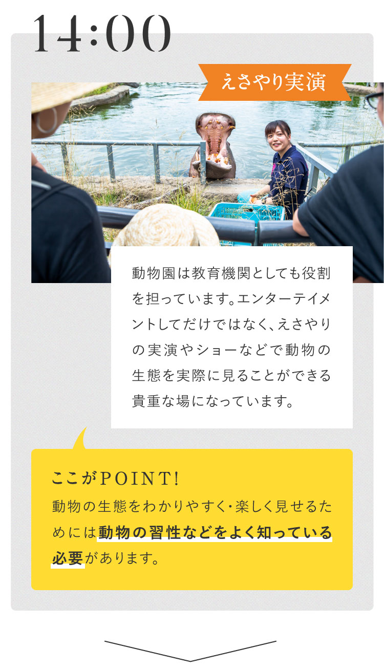 14:00 えさやり実演 動物園は教育機関としても役割を担っています。エンターテイメントしてだけではなく、えさやりの実演やショーなどで動物の生態を実際に見ることができる貴重な場になっています。