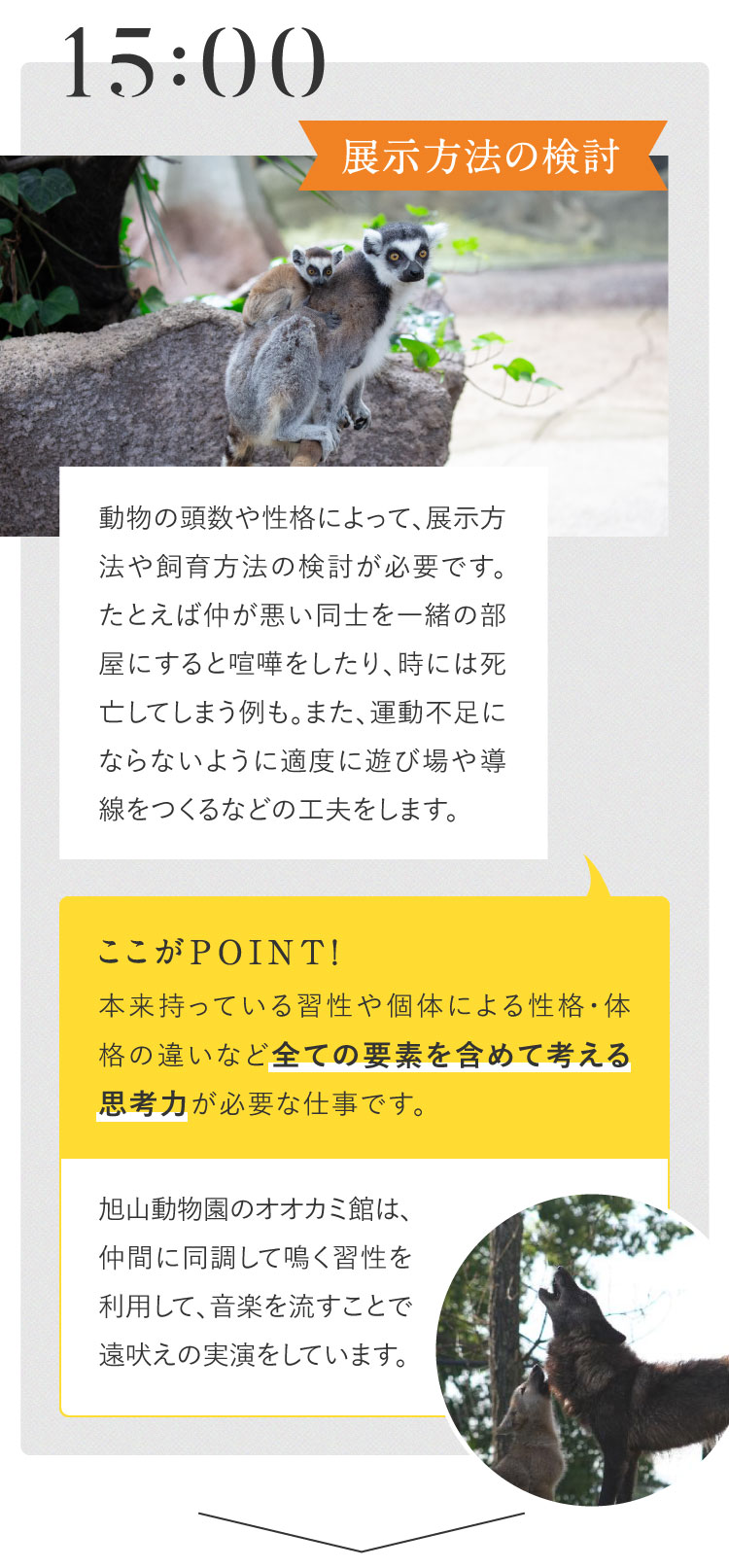 15:00 展示方法の検討 動物の頭数や性格によって、展示方法や飼育方法の検討が必要です。